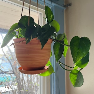 Hazel added a photo of their purchase