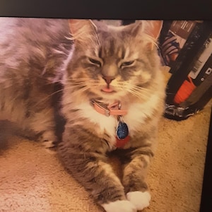 DeeCee added a photo of their purchase