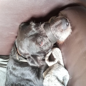 Coda added a photo of their purchase
