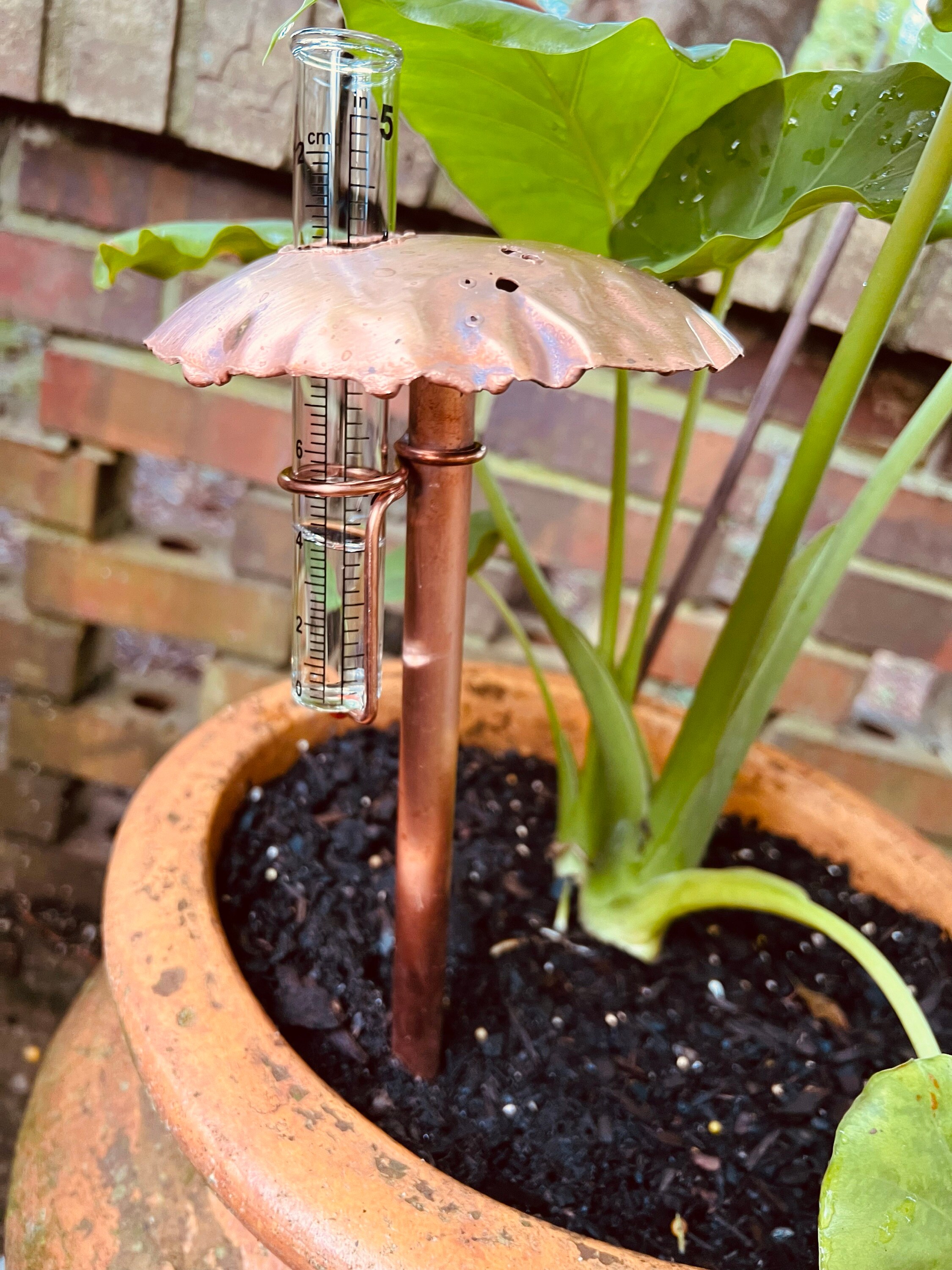 Copper Mushroom Rain Gauge