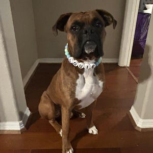 liemchristy1 heeft een foto van zijn/haar aankoop toegevoegd