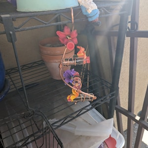 Alexa added a photo of their purchase