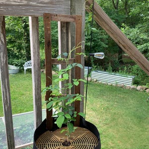 Amy added a photo of their purchase