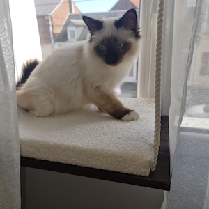 Lydie added a photo of their purchase
