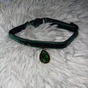 Delaney added a photo of their purchase