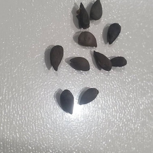 Comprador de Etsy ha añadido una foto de su compra