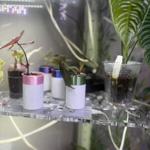 Kathy dodał(a) zdjęcie swoich zakupów