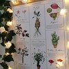 Herbology Chart A3 Print - Etsy UK
