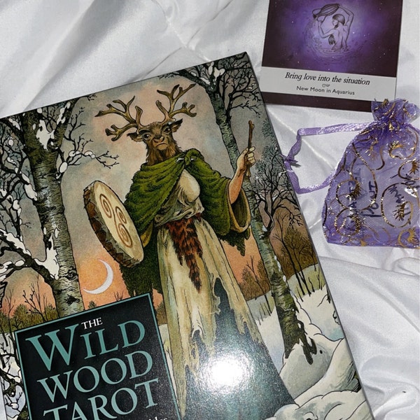 The Wildwood Tarot Deck Kit – 78 Cards + 160-Page Book – Sterling Publishing