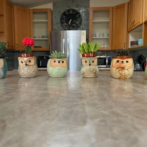 Donna added a photo of their purchase