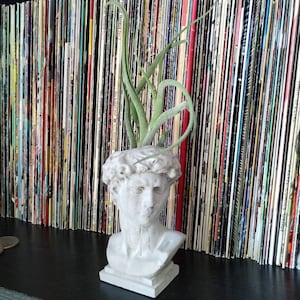 Alfredo added a photo of their purchase