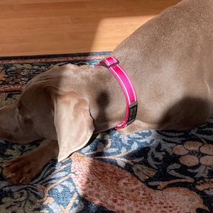 Nancy added a photo of their purchase