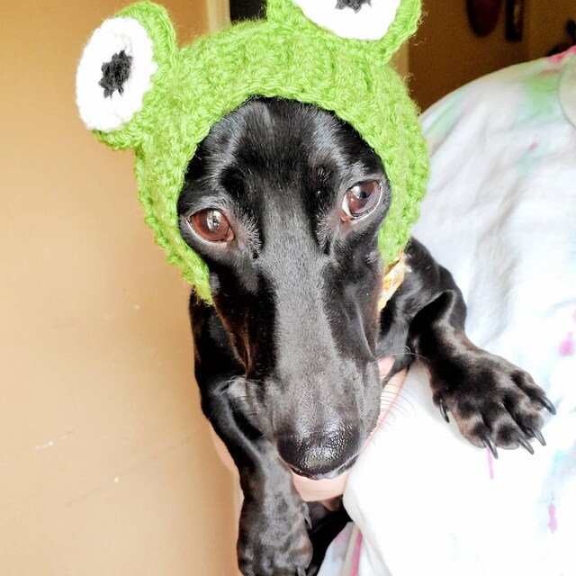 トップス UNUSED Gourd pattern mesh dog ear jacket トップス UNUSED Gourd pattern mesh dog ear jacket トップス UNUSED