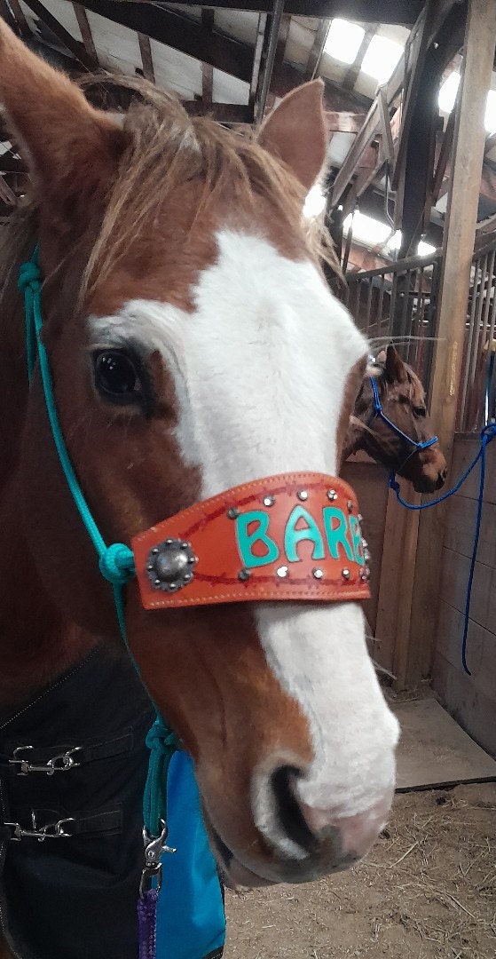 Custom Bronc Noseband with Premium Yacht Rope Halter