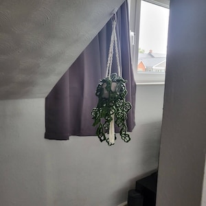 Sara added a photo of their purchase