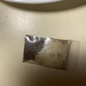 Liz added a photo of their purchase