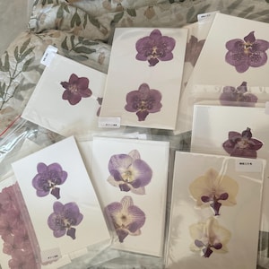 Sylvie added a photo of their purchase
