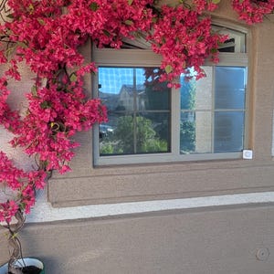 ruth added a photo of their purchase