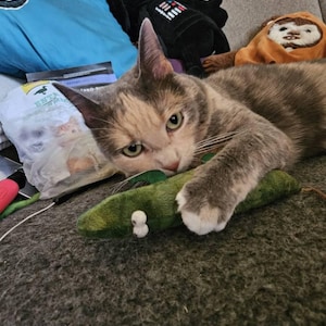 Dana a ajouté une photo de son achat