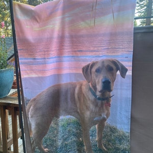 Shari added a photo of their purchase