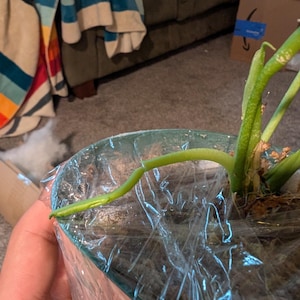 samuel added a photo of their purchase