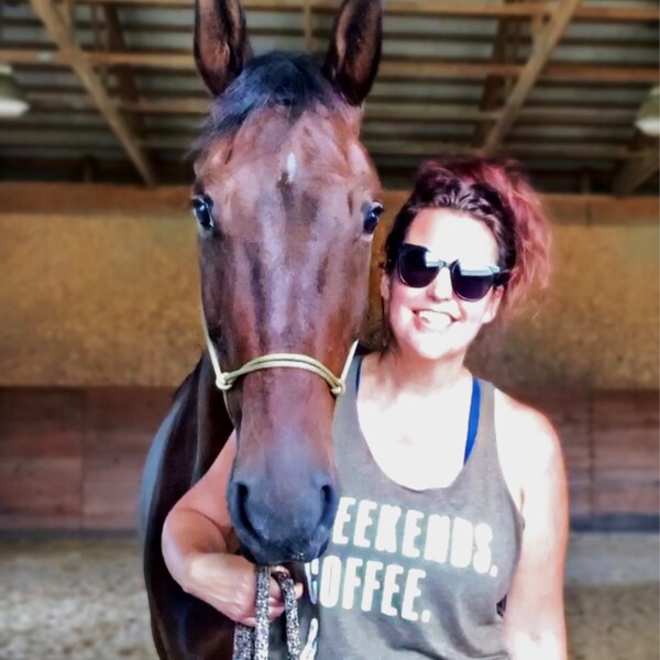 Driving Harness With Hames | Working Horse Tack In Ohio