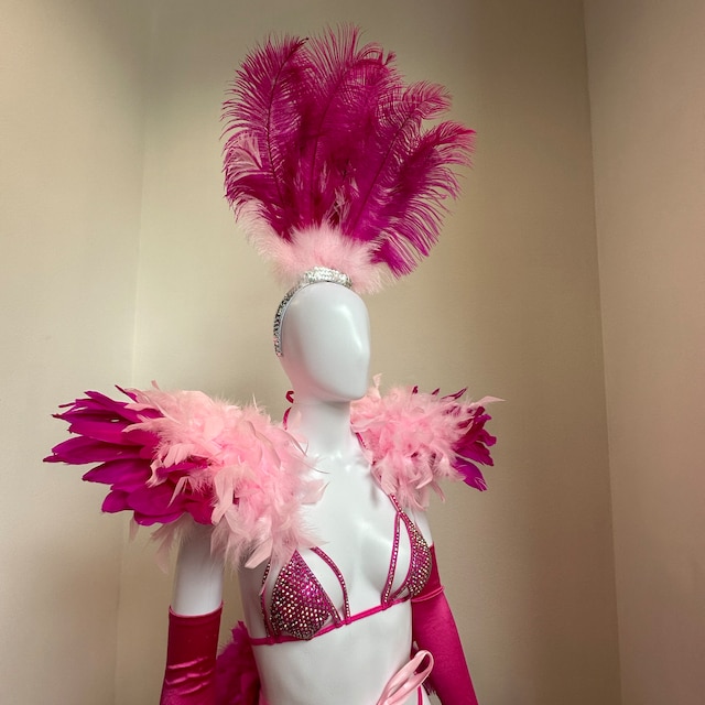 Pink Bird Costume – Carnival Info Store
