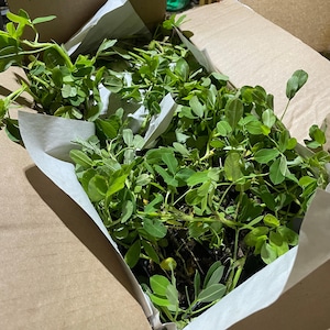 Bette ha añadido una foto de su compra