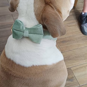 Louise added a photo of their purchase