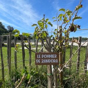Camille ha añadido una foto de su compra
