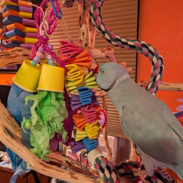 Playing Card and Coin Wrapper Tower- Coin Wrappers, Playing Cards ...