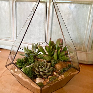 Lilli added a photo of their purchase