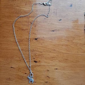 Carey added a photo of their purchase