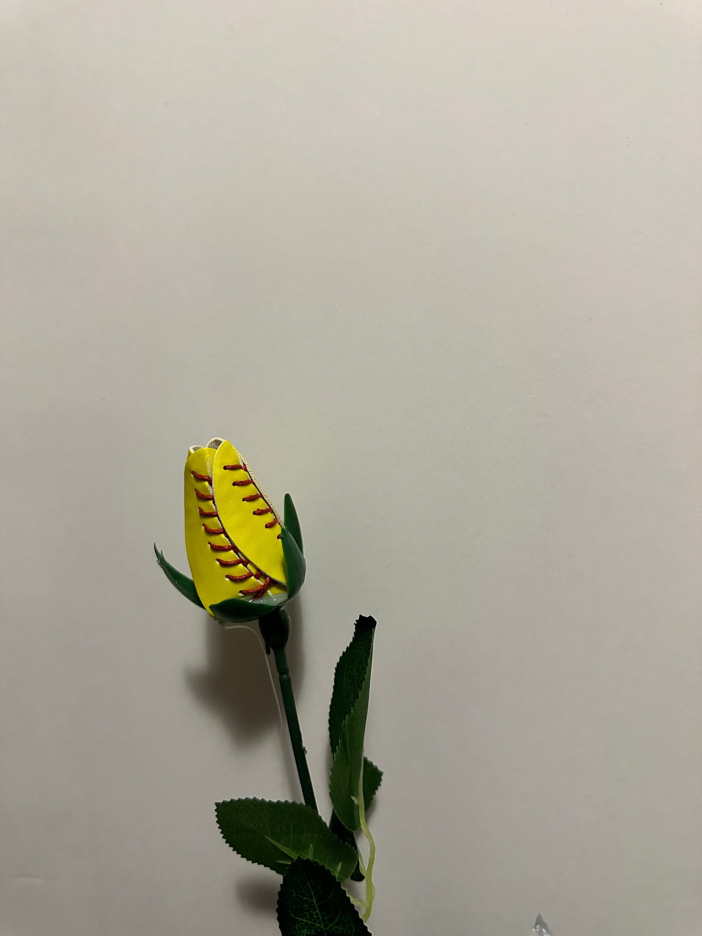 Softball Roses Select Qty Softball Gift Back to School