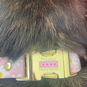 Katherine heeft een foto van zijn/haar aankoop toegevoegd