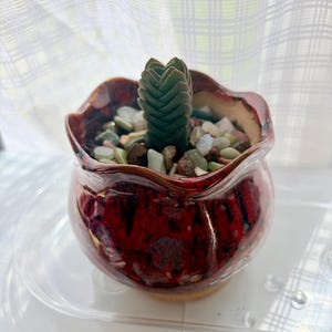 Karin added a photo of their purchase