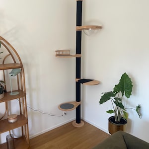 Sandro added a photo of their purchase