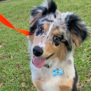 Savannah added a photo of their purchase