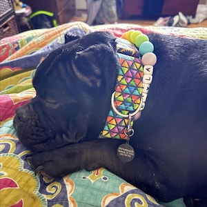 Mary added a photo of their purchase
