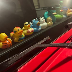 Lisa hat ein Foto des gekauften Artikels hinzugefügt