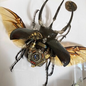スチームパンク サイボーグ メカニカル ビートル 昆虫 虫 ファンタジー
