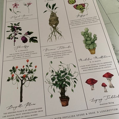 Herbology Chart A3 Print - Etsy