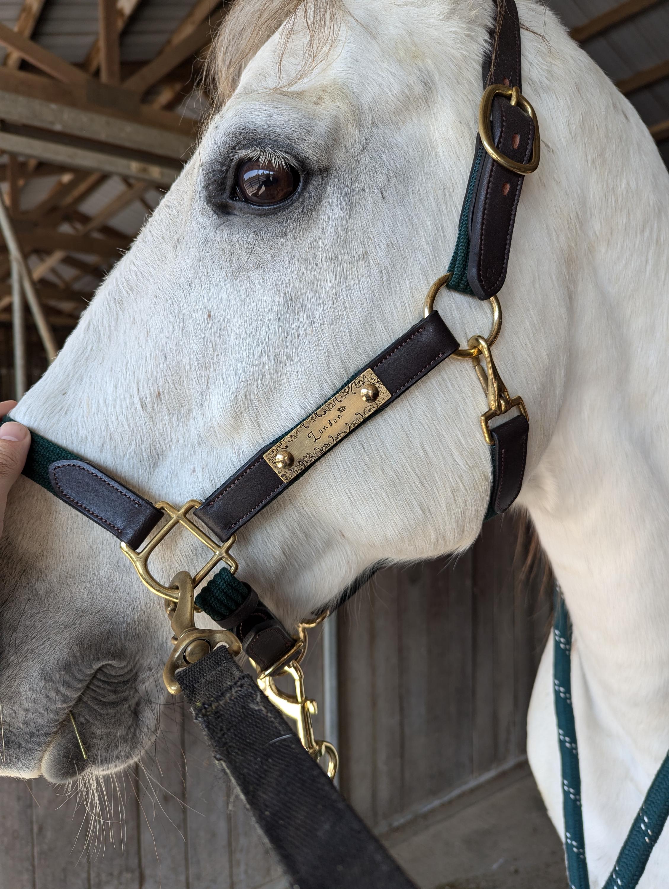 Personalized Horse Halter Nameplate – Custom Brass ID Tag, Equestrian Gift, Saddle Plate