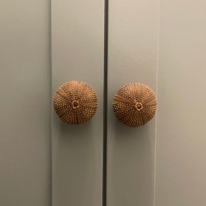 Silke added a photo of their purchase