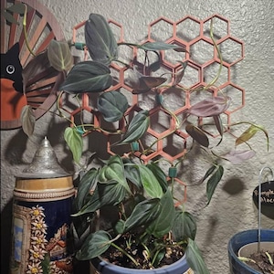 Stephanie added a photo of their purchase