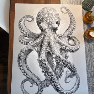 タコの鉛筆画 - 白黒ヴィンテージ海のアートプリント - Etsy 日本