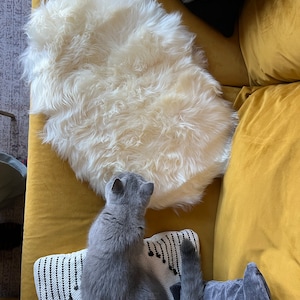 Alina added a photo of their purchase