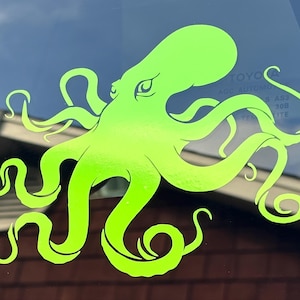 Paul hat ein Foto des gekauften Artikels hinzugefügt