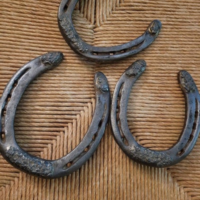 Used Farrier Rasp Authentic Horse Shoeing File Affordable Blacksmith ...