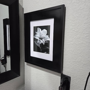 Kristy added a photo of their purchase